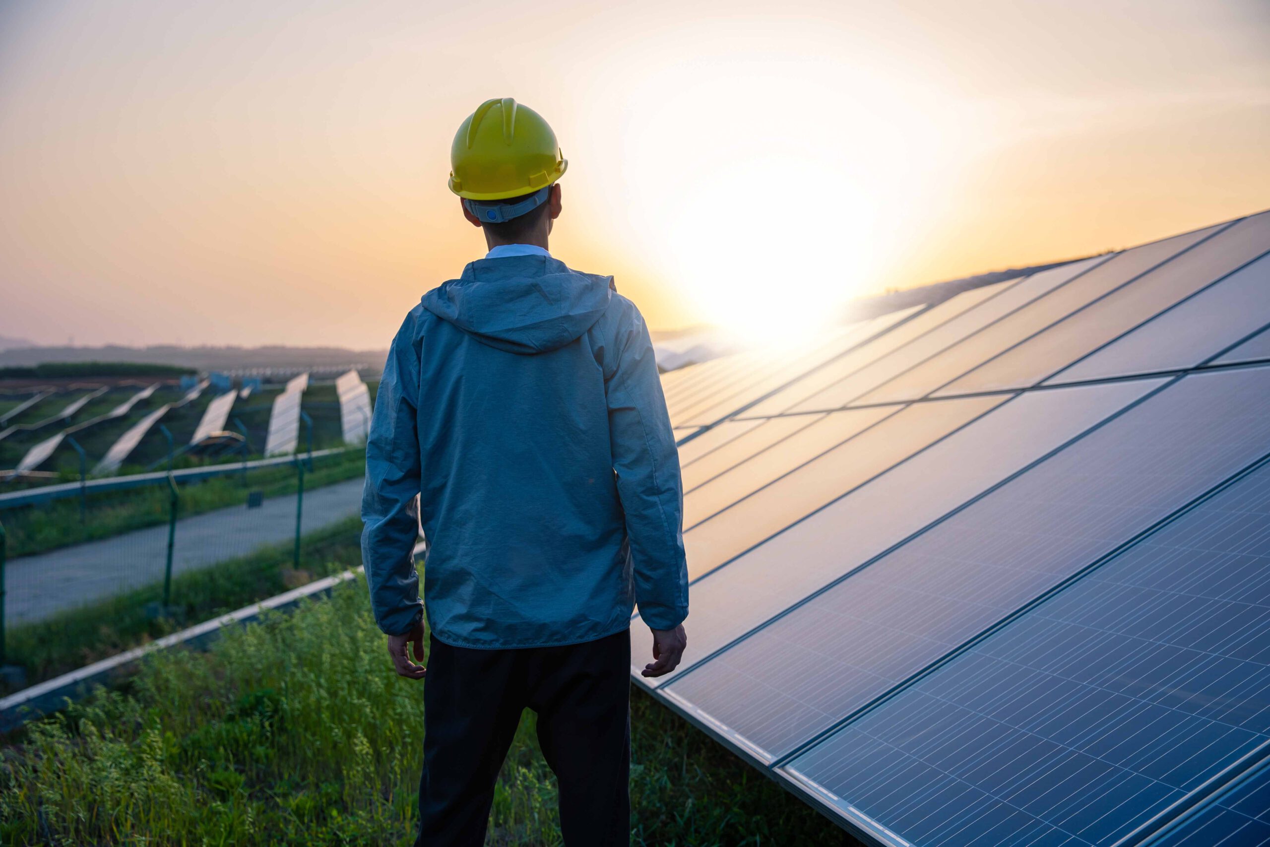 Ingenieur steht inmitten eines Solarparks, der auf einer Wiese errichtet wurde